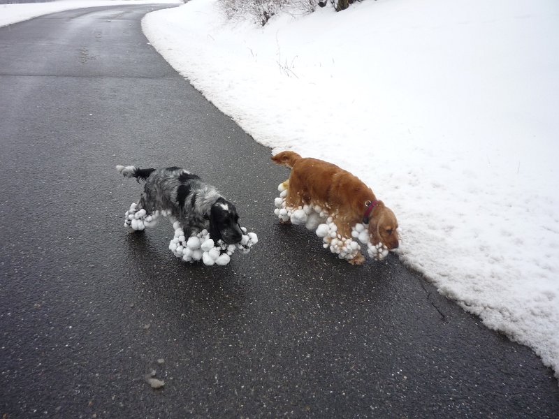 holky20,1,2009 001.jpg